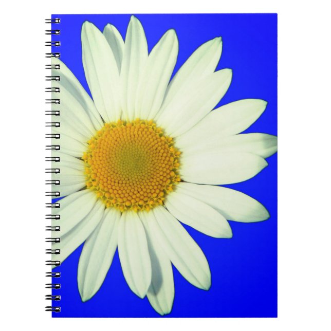 Caderno Espiral Daisy (Frente)