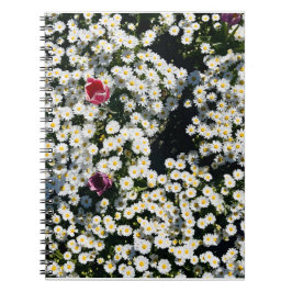 Caderno Espiral Daisy Field Spiral Notebook