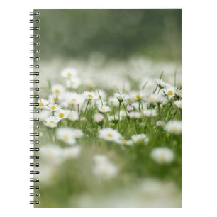 Caderno Espiral Daisy Meadow