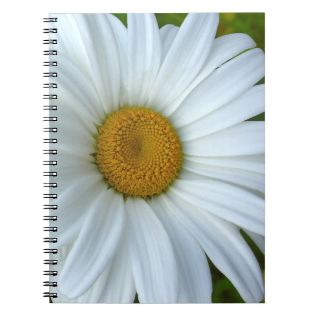 Caderno Espiral Daisy Notebook Classic Daisy Diários Flores Difs (Frente)