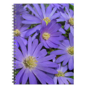 Caderno Espiral Daisy Notebook Purple Daisy Diários presentes