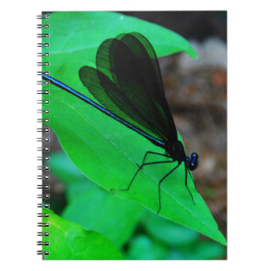 Caderno Espiral Damselfly azul em uma folha verde.