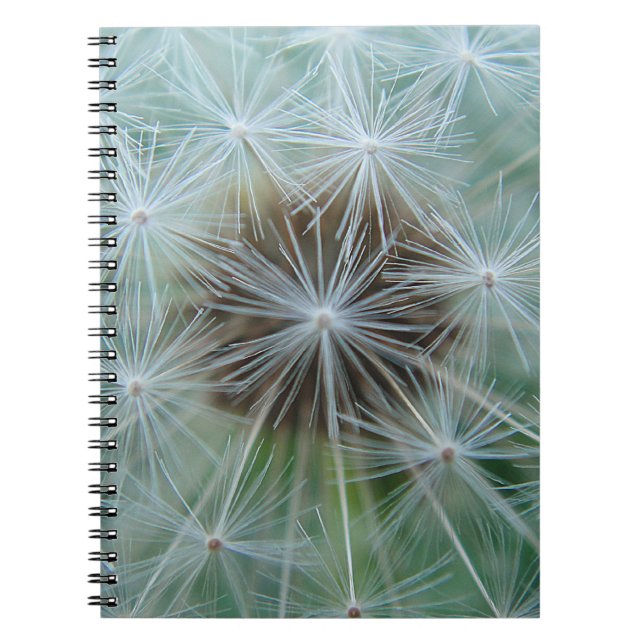 Caderno Espiral Dandelion Branco (Frente)
