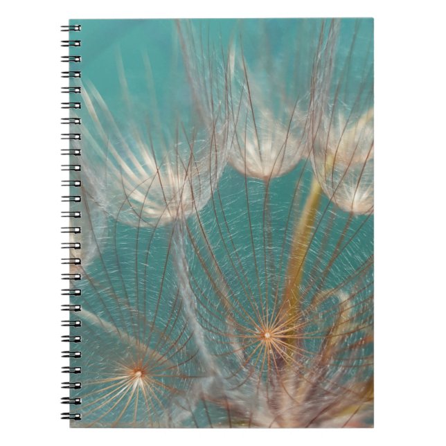 Caderno Espiral Dandelion branco em fotografia fechada (Frente)