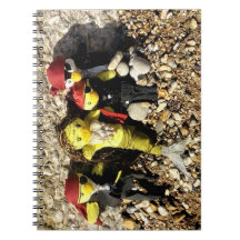 Danni, a Sereia e os Piratas