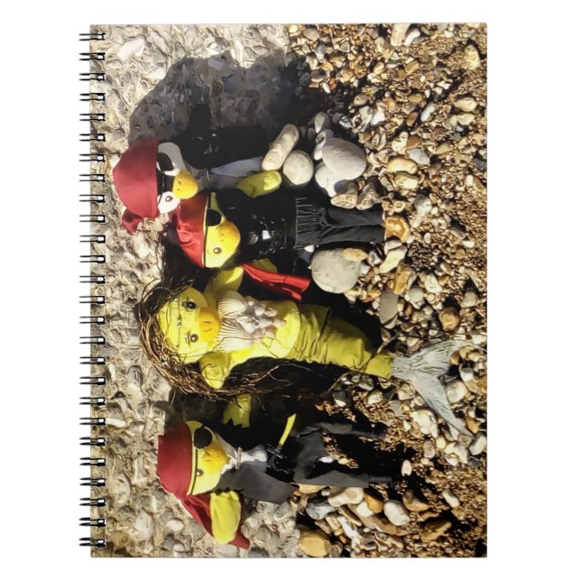 Caderno Espiral Danni, a Sereia e os Piratas (Frente)