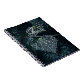 Caderno Espiral Dark Moody Ivy Nature Foto