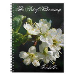 Caderno Espiral de Arte Flor de Ameixa Branca Orig
