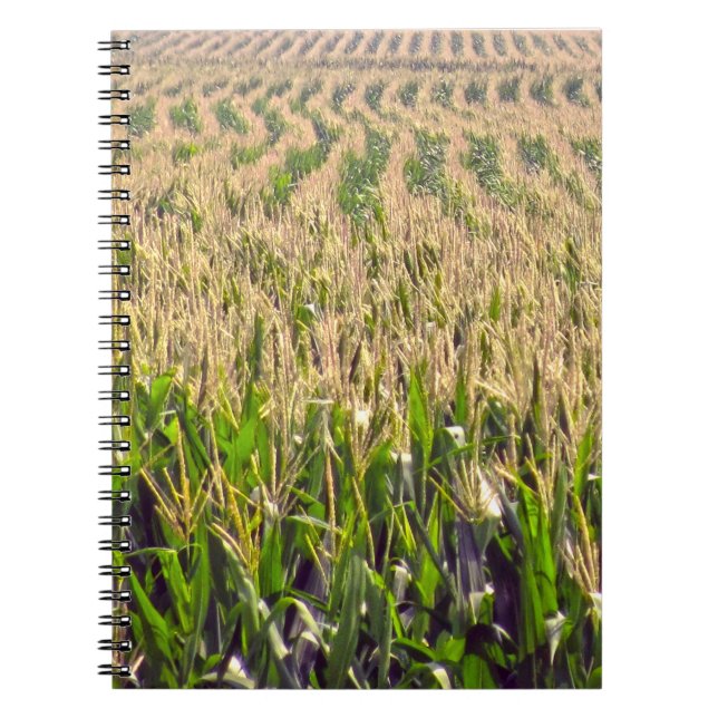 Caderno Espiral de Fileiras Infinitas de Milho (Frente)