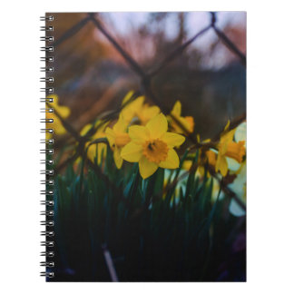 Caderno Espiral de Fotoarte Narcisos Temperamentai