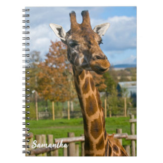 Caderno espiral de girafa