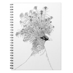 Caderno Espiral de Pombo-Coronado