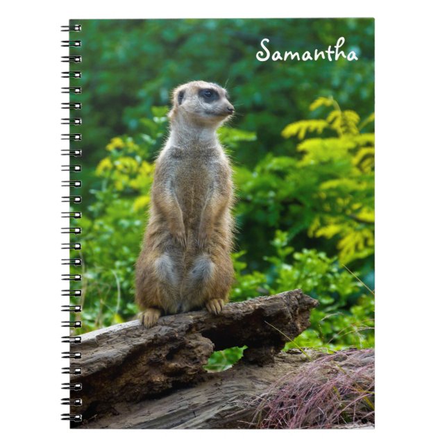 Caderno espiral de suricata (Frente)