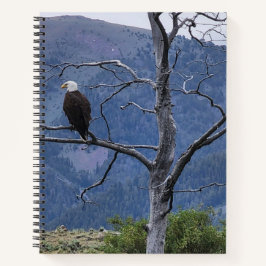 Caderno espiral de vigilância