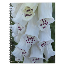 Caderno Espiral Dedal-de-Raposa-Branca-Com-Manchas-Rosas Floral