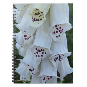 Caderno Espiral Dedal-de-Raposa-Branca-Com-Manchas-Rosas Floral