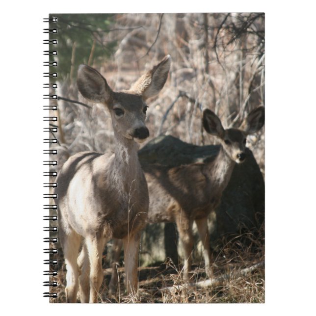 Caderno Espiral Deer dizendo olá (Frente)