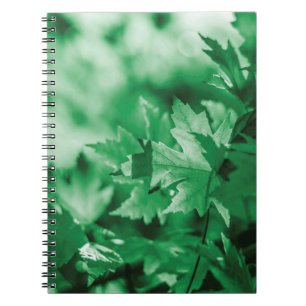 Caderno Espiral Deixa a natureza verde do fundo