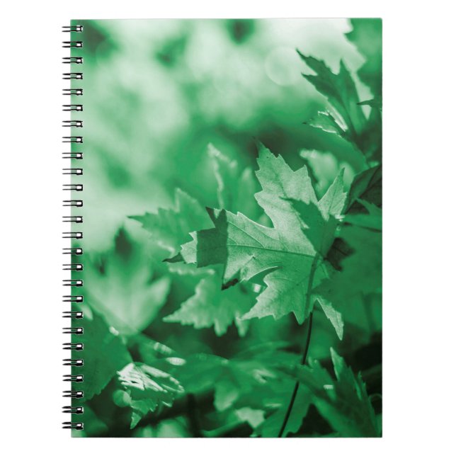 Caderno Espiral Deixa a natureza verde do fundo (Frente)