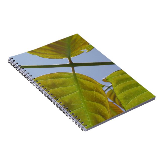 Caderno Espiral Deixa o notebook (Lado Direito)