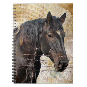 Caderno Espiral Delicado, cavalo de esboço de A