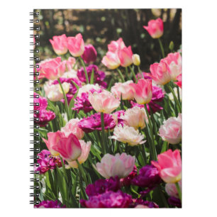 Caderno Espiral Delícia Rosa e Roxo