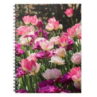 Caderno Espiral Delícia Rosa e Roxo