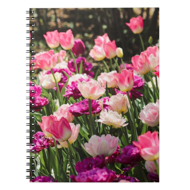 Caderno Espiral Delícia Rosa e Roxo (Frente)