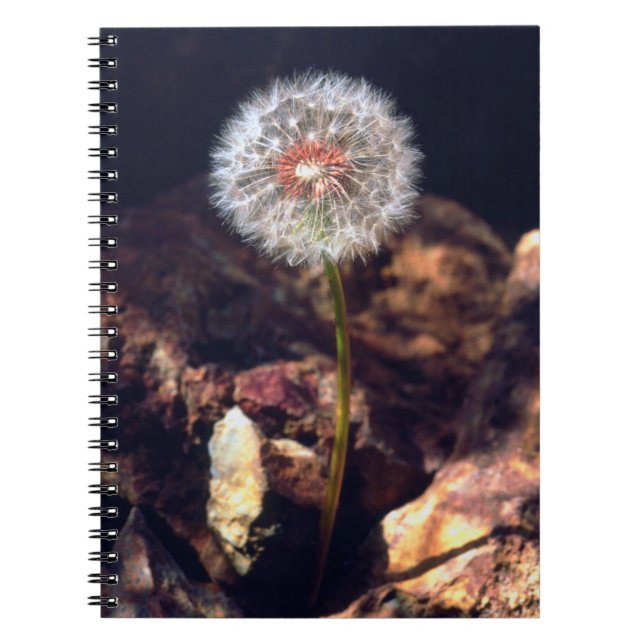 Caderno Espiral Dente-de-leão (Frente)