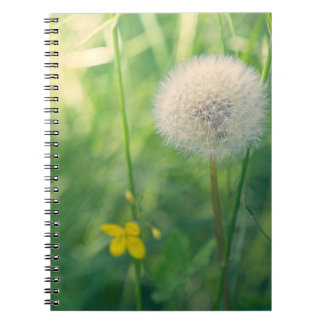 Caderno Espiral Dente-de-leão na vegetação com luz suave de verão