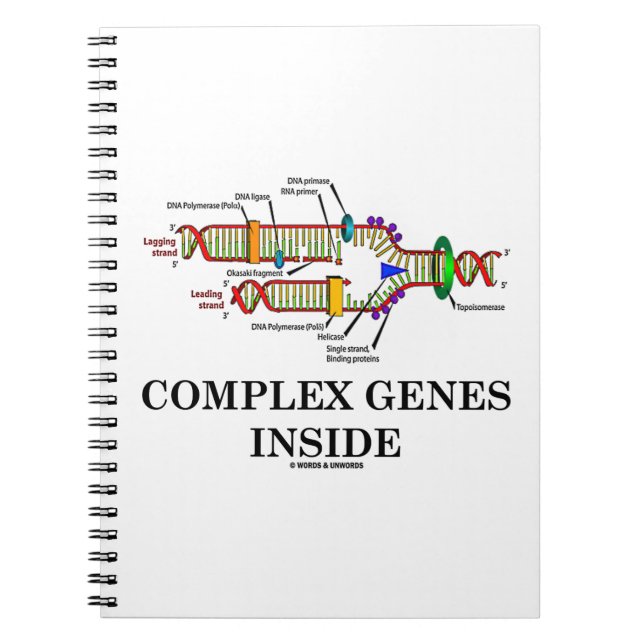 Caderno Espiral Dentro de Genes Complexos (Replicação de DNA) (Frente)