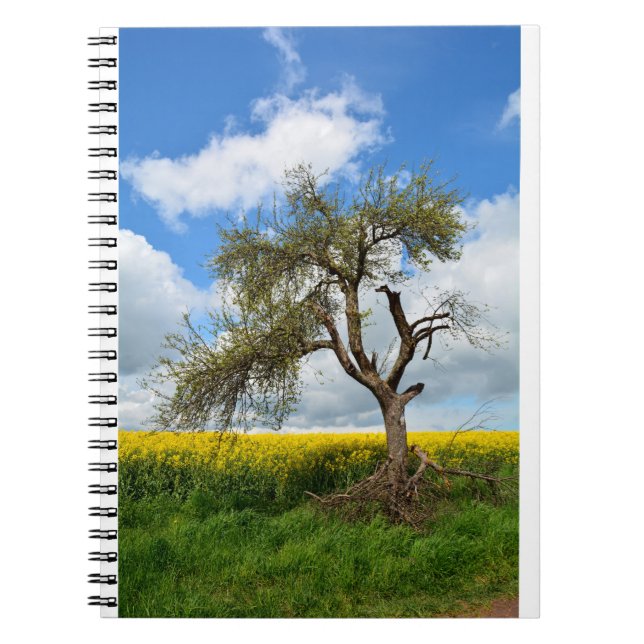 Caderno Espiral Der alte Baum (Frente)