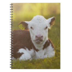 Caderno Espiral Descanso da vitela