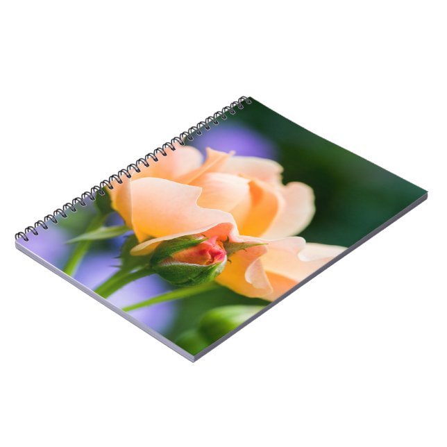 Caderno Espiral desejo de desdobramento (Left Side)
