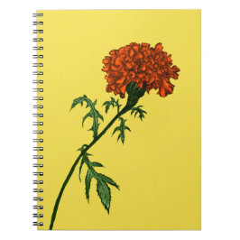 Caderno Espiral Desenho de Tinta da Flor Marigold Francês