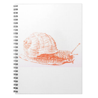 Caderno Espiral Desenho do Caracol Laranja
