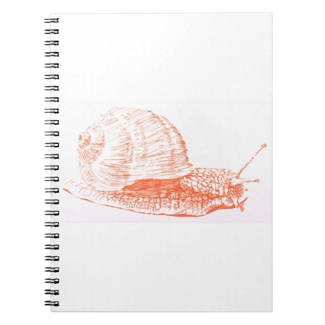Caderno Espiral Desenho do Caracol Laranja (Frente)