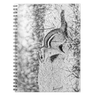 Caderno Espiral Desenho do Chipmunk