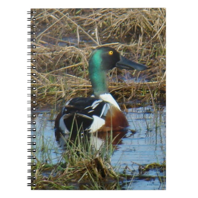 Caderno Espiral Desenho do Norte B26 (Frente)