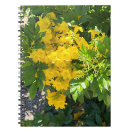 Caderno Espiral Desert Bloom