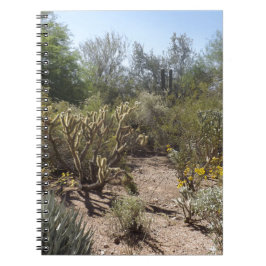 Caderno Espiral Deserto