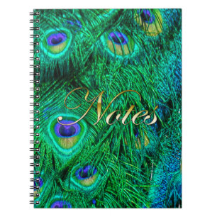 Caderno Espiral Design de Fotografia de Penas de Peacock Radiante