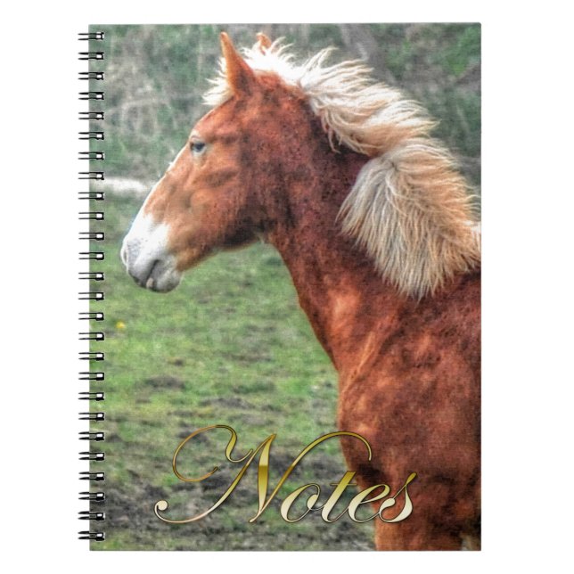 Caderno Espiral Design do Jovem Palomino Colt Horse-lover (Frente)