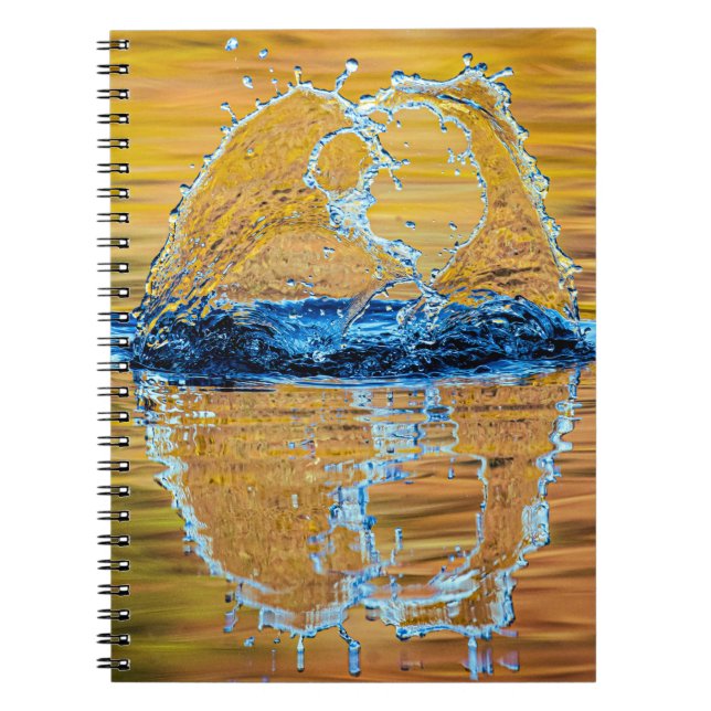 Caderno Espiral Despejo na noite de outono (Frente)