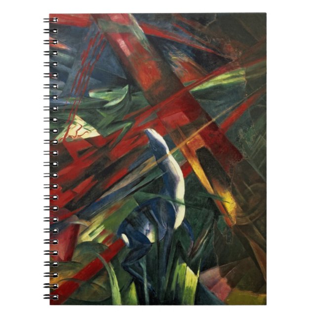 Caderno Espiral Destino dos animais, 1913 (Frente)