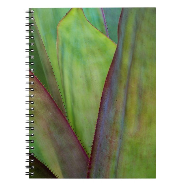 Caderno Espiral Detalhe da Planta Agave (Frente)