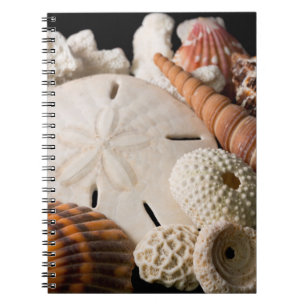 Caderno Espiral Detalhe De Conchas Do Mundo Todo