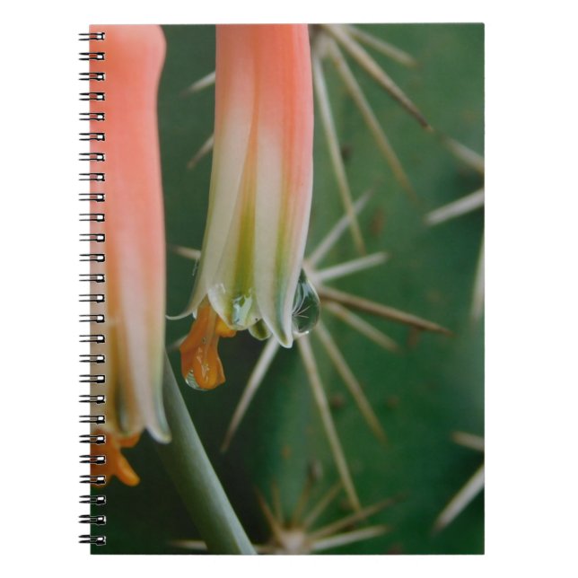 Caderno Espiral Dew on Aloe Bloom (Frente)
