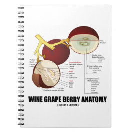 Caderno Espiral Diagrama Científico Da Anatomia Do Berço De Uvas D