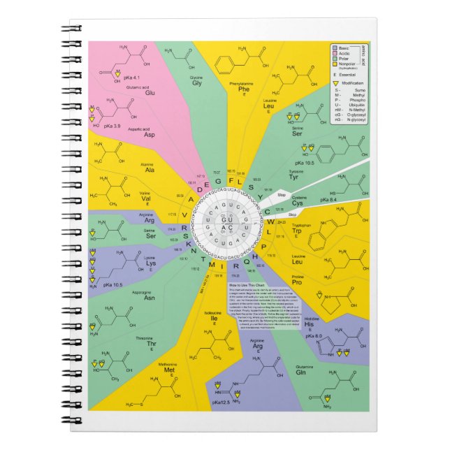 Caderno Espiral Diagrama do código genético que mostra resíduos do (Frente)